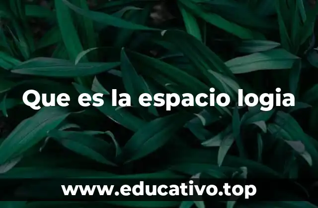 El espacio como fenómeno multidimensional