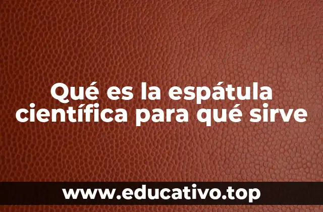 Qué es la espátula científica para qué sirve