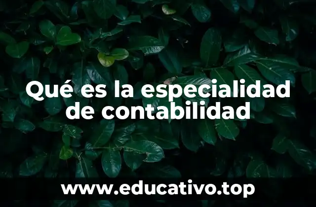Qué es la especialidad de contabilidad