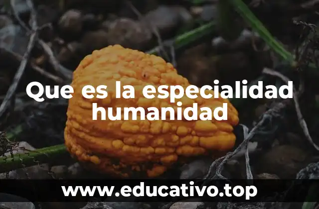 Que es la especialidad humanidad