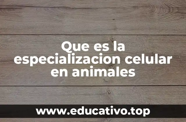 Que es la especializacion celular en animales