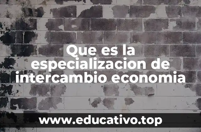 El papel de la especialización en la economía global