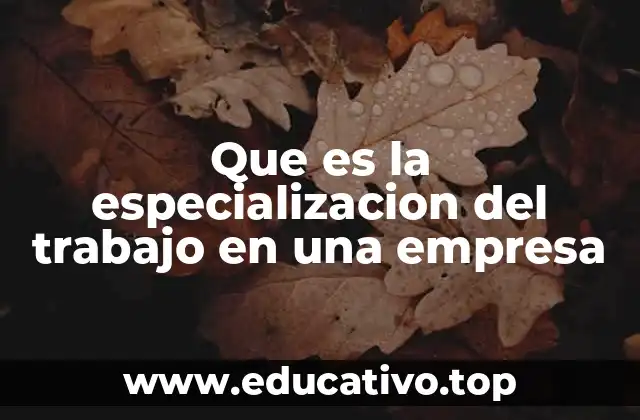 Que es la especializacion del trabajo en una empresa