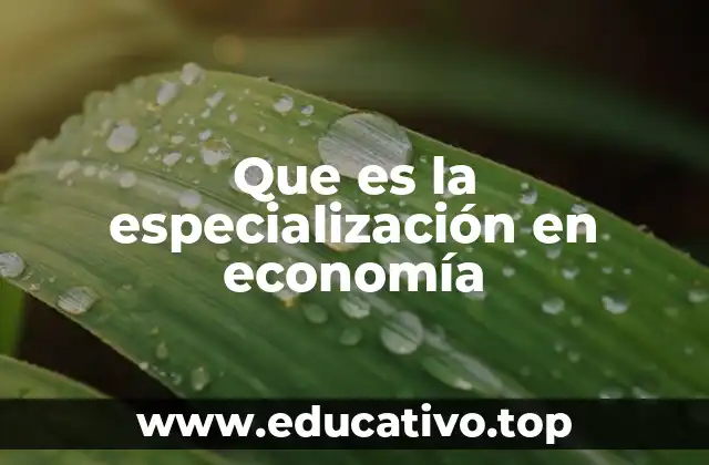 Que es la especialización en economía