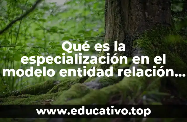 Qué es la especialización en el modelo entidad relación extendido