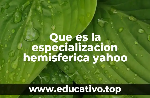 Que es la especializacion hemisferica yahoo