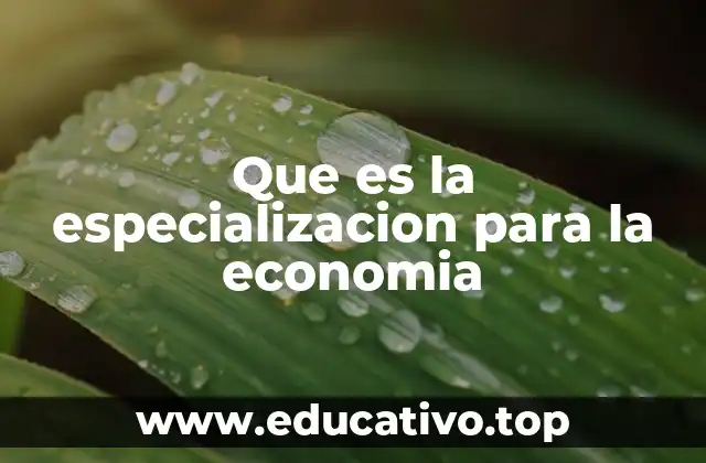 Que es la especializacion para la economia