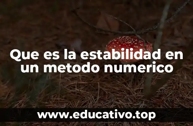 Que es la estabilidad en un metodo numerico