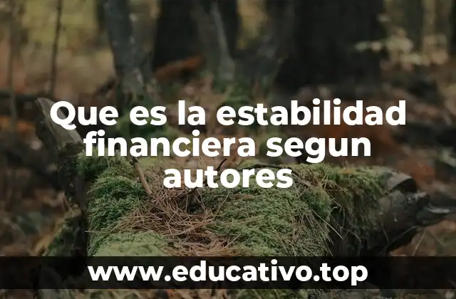 Que es la estabilidad financiera segun autores