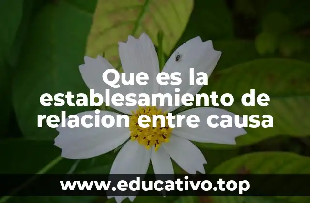 Que es la establesamiento de relacion entre causa