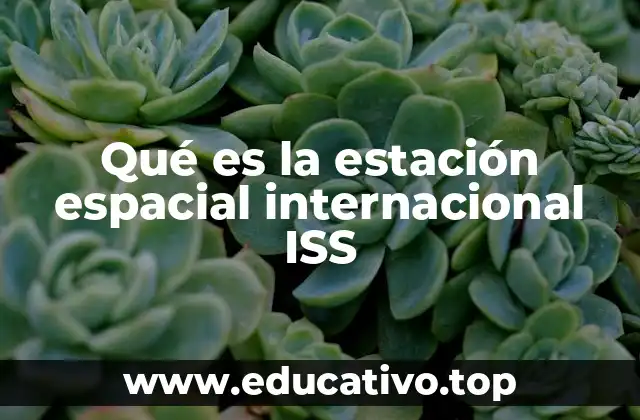Qué es la estación espacial internacional ISS