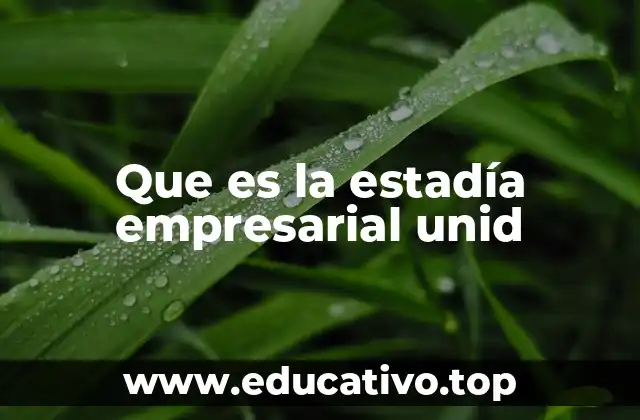 Que es la estadía empresarial unid