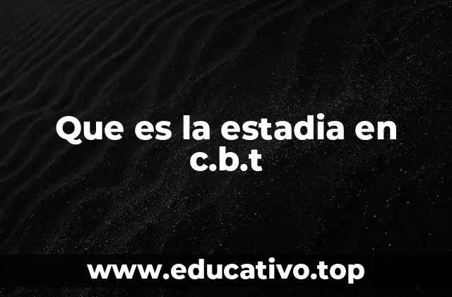 Que es la estadia en c.b.t