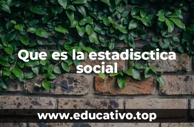 El papel de la estadística en la toma de decisiones sociales