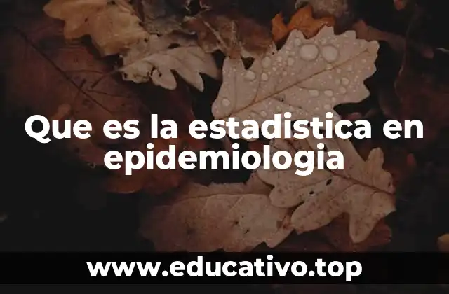 Que es la estadistica en epidemiologia