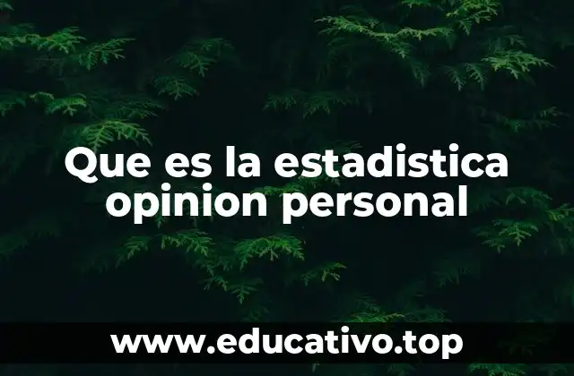 Que es la estadistica opinion personal