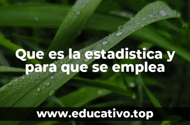 Que es la estadistica y para que se emplea