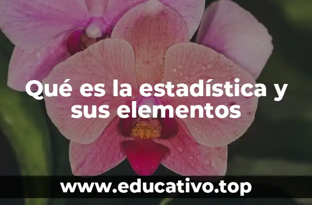 Qué es la estadística y sus elementos