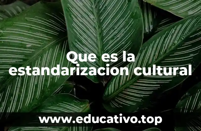 Que es la estandarizacion cultural