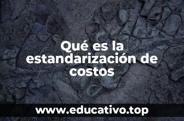 Qué es la estandarización de costos