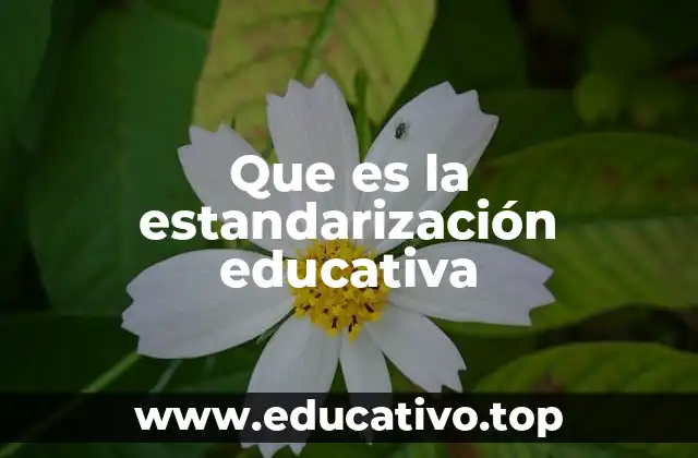 Que es la estandarización educativa