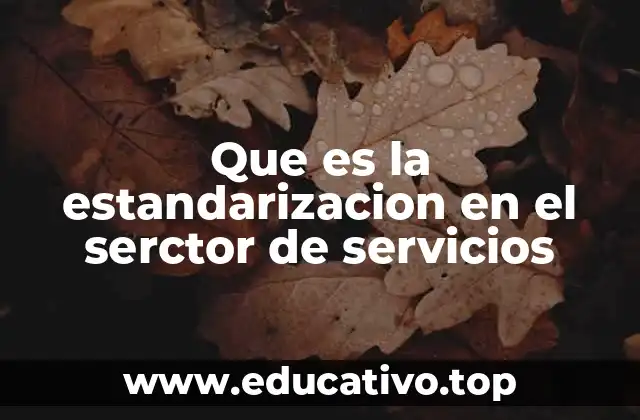 Que es la estandarizacion en el serctor de servicios
