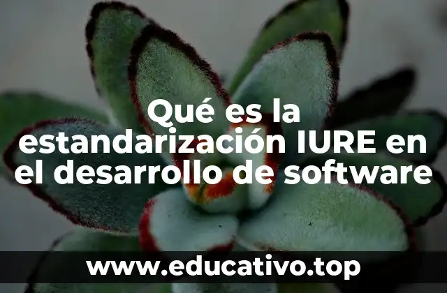 Qué es la estandarización IURE en el desarrollo de software