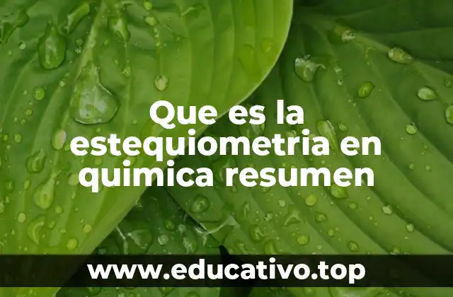 Que es la estequiometria en quimica resumen