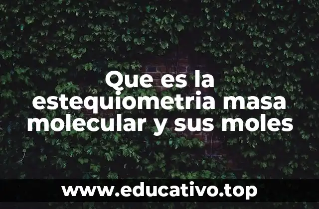Que es la estequiometria masa molecular y sus moles