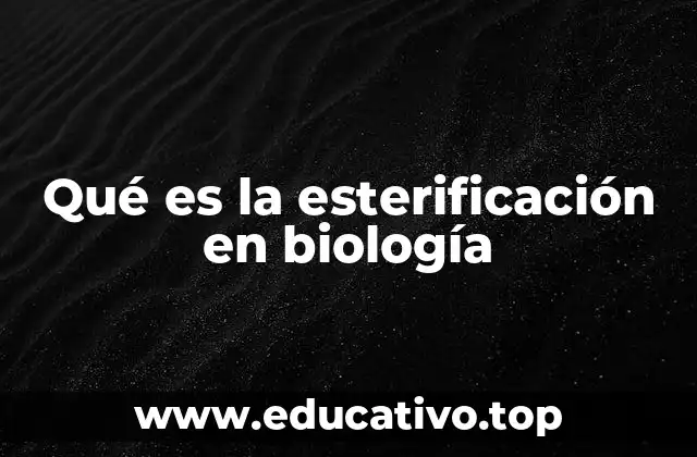Qué es la esterificación en biología