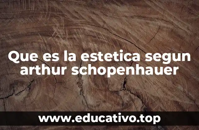 Que es la estetica segun arthur schopenhauer