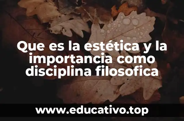 Que es la estética y la importancia como disciplina filosofica