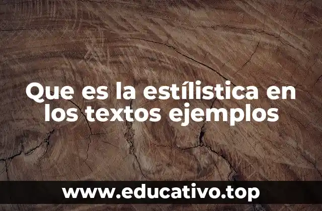 Que es la estílistica en los textos ejemplos