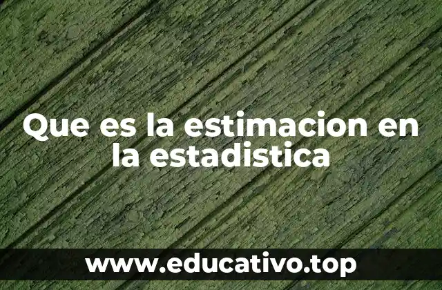 Que es la estimacion en la estadistica