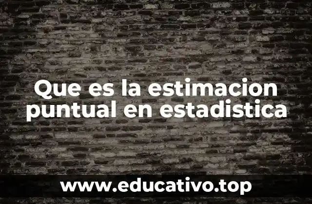 Que es la estimacion puntual en estadistica