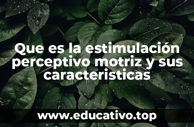 Que es la estimulación perceptivo motriz y sus caracteristicas