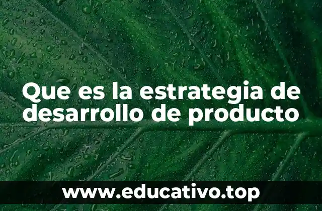 Que es la estrategia de desarrollo de producto