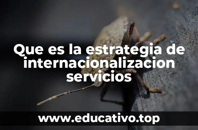 Que es la estrategia de internacionalizacion servicios