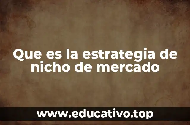 Que es la estrategia de nicho de mercado