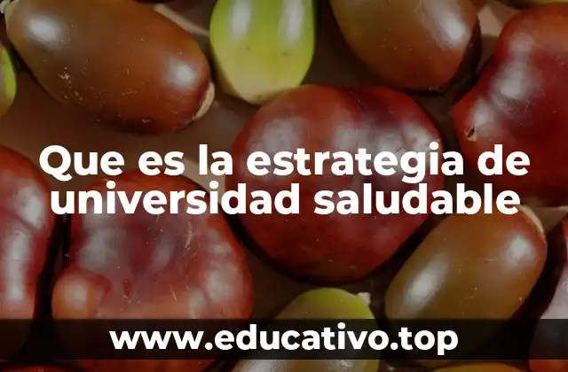 Que es la estrategia de universidad saludable