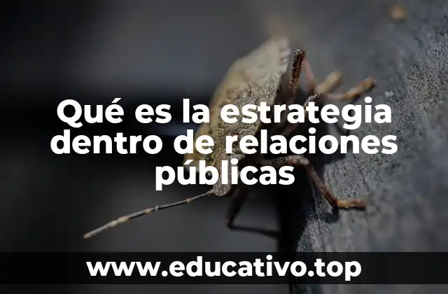 Qué es la estrategia dentro de relaciones públicas