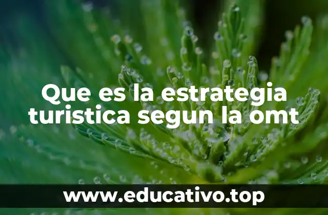 Que es la estrategia turistica segun la omt