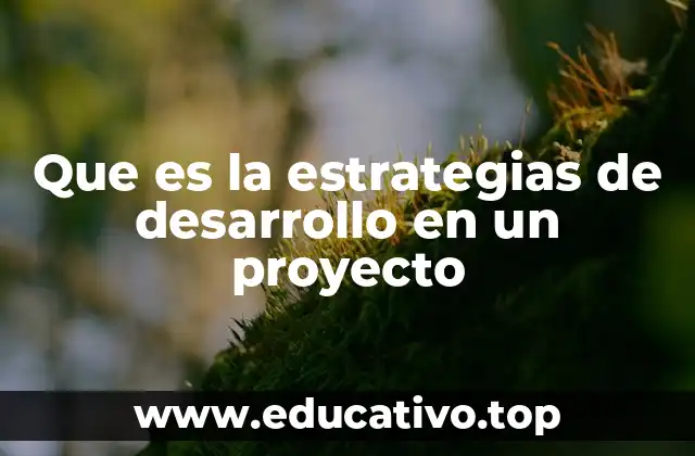 Que es la estrategias de desarrollo en un proyecto