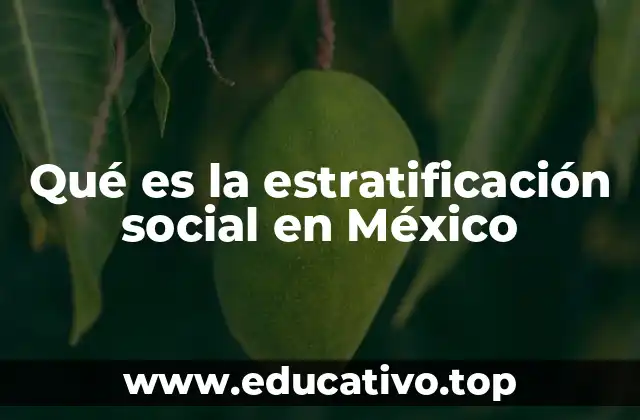 Qué es la estratificación social en México