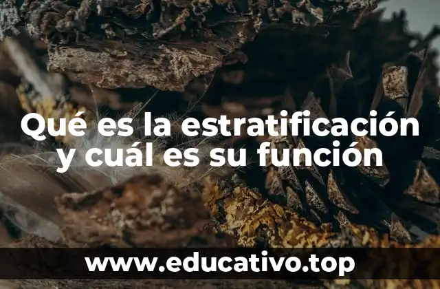 Qué es la estratificación y cuál es su función