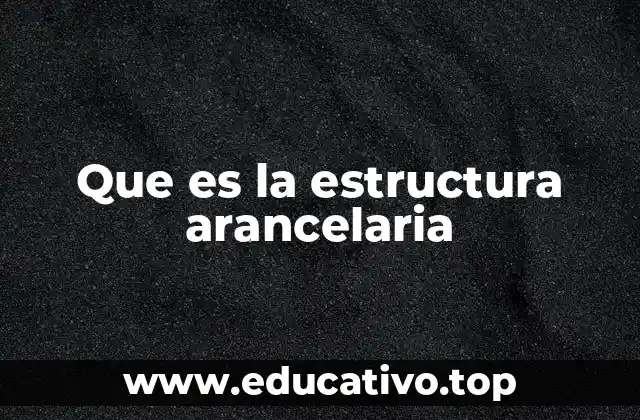 Que es la estructura arancelaria