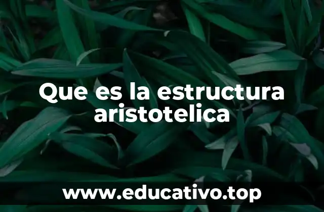 Que es la estructura aristotelica