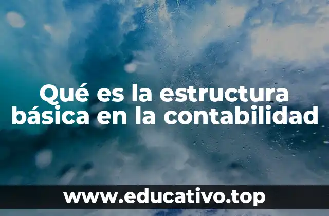 Qué es la estructura básica en la contabilidad