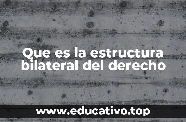 Que es la estructura bilateral del derecho