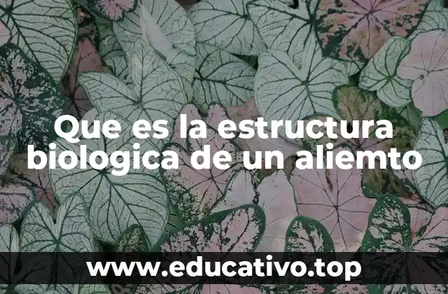 Que es la estructura biologica de un aliemto
